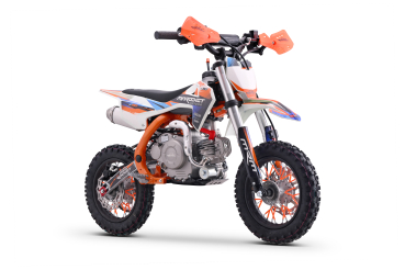 DirtBike Dorado MiniPit DK60 4T 1G Automatik 10 Zoll